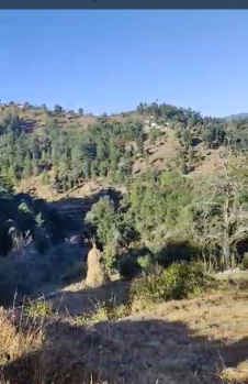  Agricultural Land for Sale in Lohaghat, Champawat