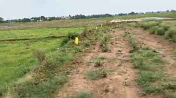  Residential Plot for Sale in Bihta, Patna