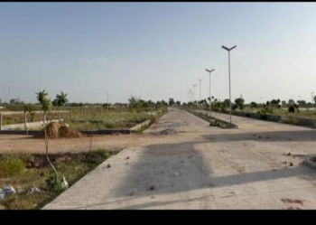  Agricultural Land for Sale in Kanina, Mahendragarh