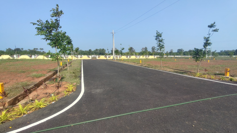  Residential Plot 183 Sq.ft. for Sale in Bhogapuram, Visakhapatnam