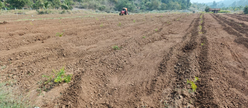 1 BHK 644 Sq. Yards House for Sale in Anakapalle, Visakhapatnam