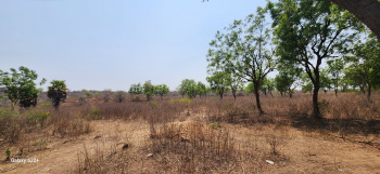  Agricultural Land for Rent in Bongulur, Hyderabad