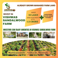  Agricultural Land for Sale in Pavagada, Tumkur