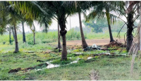  Agricultural Land for Sale in Avalpoondurai, Erode