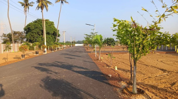  Residential Plot for Sale in Minjur, Chennai