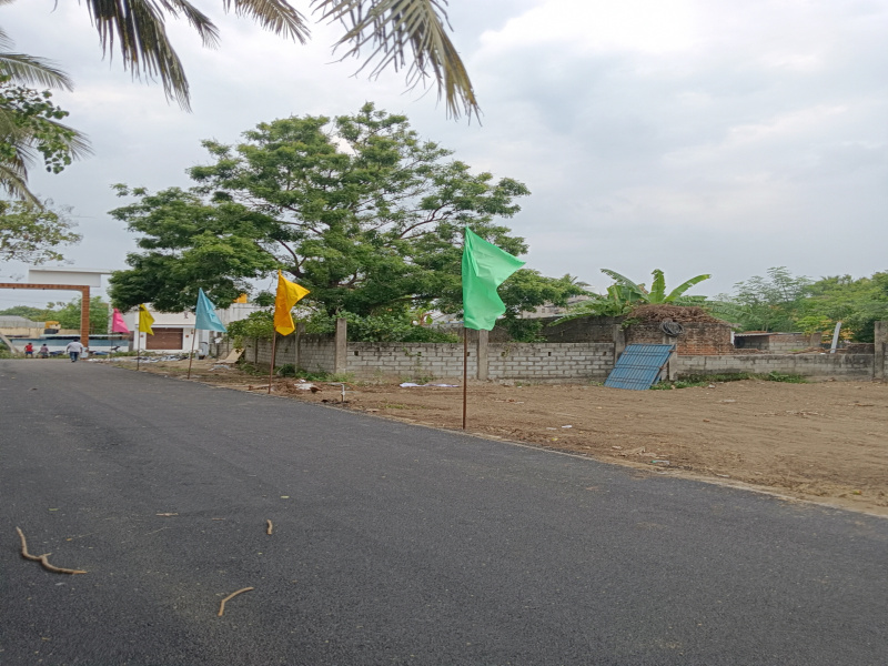 Sevvapet, Thiruvallur photo 3