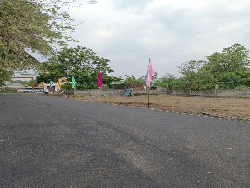 Sevvapet, Thiruvallur photo 4