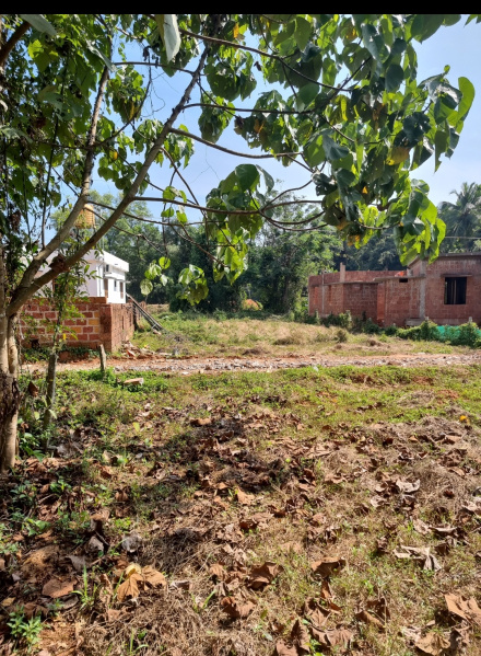 Residential Plot 10 Cent for Sale in Vittal, Mangalore