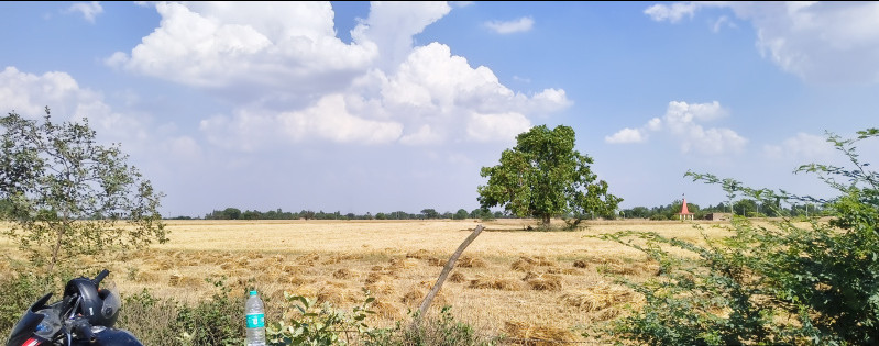  60 Bigha Agricultural/Farm Land for Sale in Jalalabad, Shahjahanpur