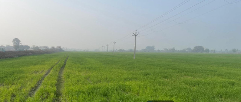  60 Bigha Agricultural/Farm Land for Sale in Jalalabad, Shahjahanpur