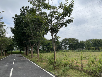  Residential Plot for Sale in Devanahalli, Bangalore