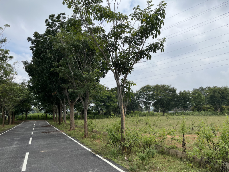  Residential Plot 4000 Sq.ft. for Sale in Devanahalli, Bangalore