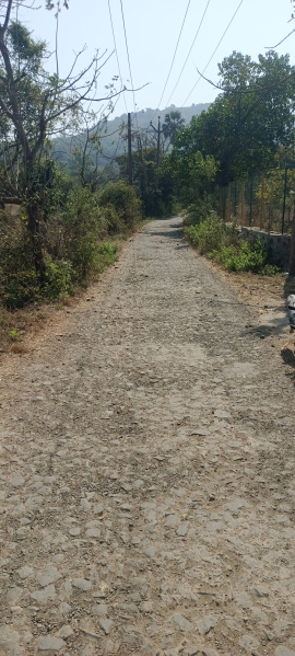  11 Guntha Agricultural/Farm Land for Rent in Chaul, Alibag, Raigad