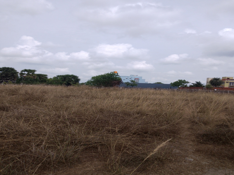  Residential Plot 35 Acre for Sale in East Coast Road, Chennai