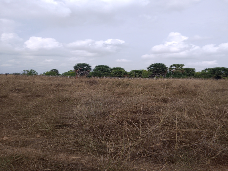  Residential Plot 35 Acre for Sale in East Coast Road, Chennai