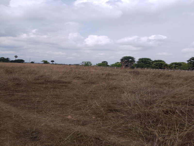  Residential Plot 35 Acre for Sale in East Coast Road, Chennai