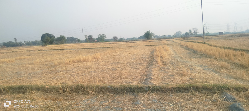  Agricultural Land 70000 Sq.ft. for Sale in Dohrighat, Mau (Maunath Bhanjan)