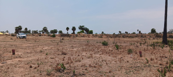  Agricultural Land for Sale in Choutuppal, Yadadri Bhuvanagiri