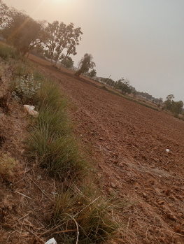  Agricultural Land for Sale in Taoru, Gurgaon