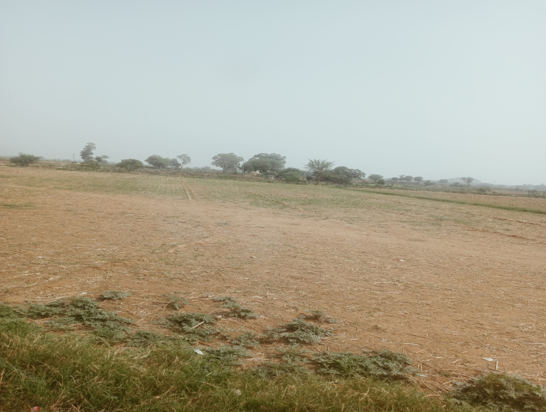  Agricultural Land 4 Acre for Sale in Taoru, Gurgaon