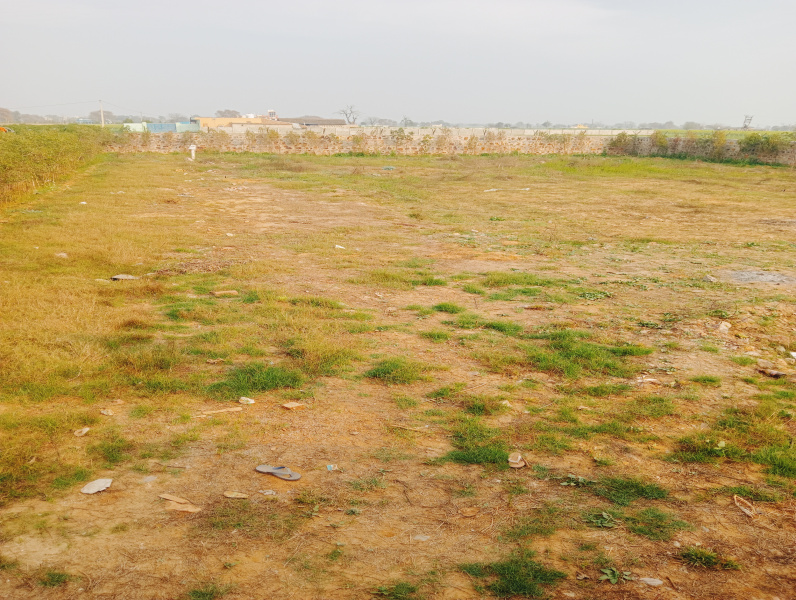 2 BHK Farm House 1 Acre for Sale in Basai Road, Gurgaon