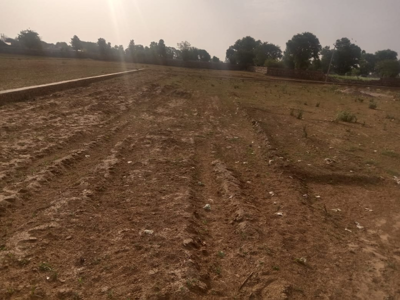  Agricultural Land 2 Acre for Sale in Sohna, Gurgaon