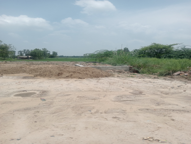  Agricultural Land 5 Acre for Sale in Sohna, Gurgaon