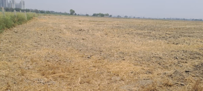 1 BHK 2 Acre Farm House for Sale in Manesar, Gurgaon