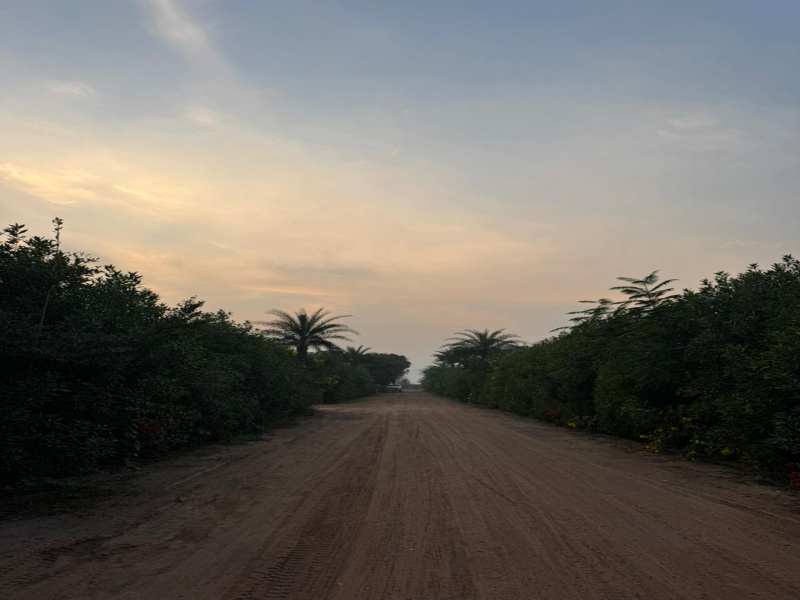 1 BHK 9 Acre Farm House for Sale in Sohna, Gurgaon