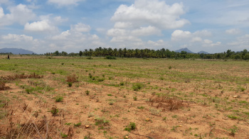  Agricultural Land for Rent in Banavara, Hassan