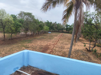  Agricultural Land for Rent in A. Vellalapatti, Madurai