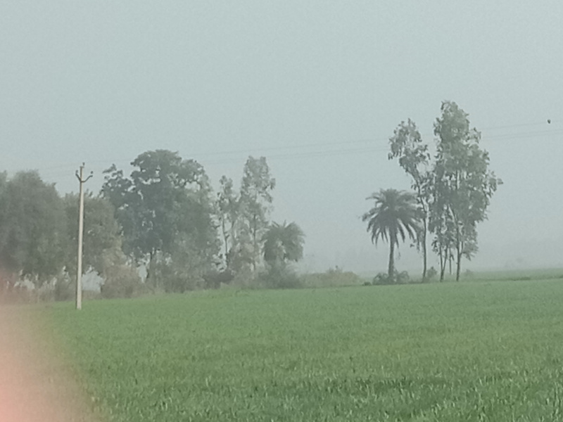  Agricultural Land 160 Bigha for Sale in Sandi, Hardoi