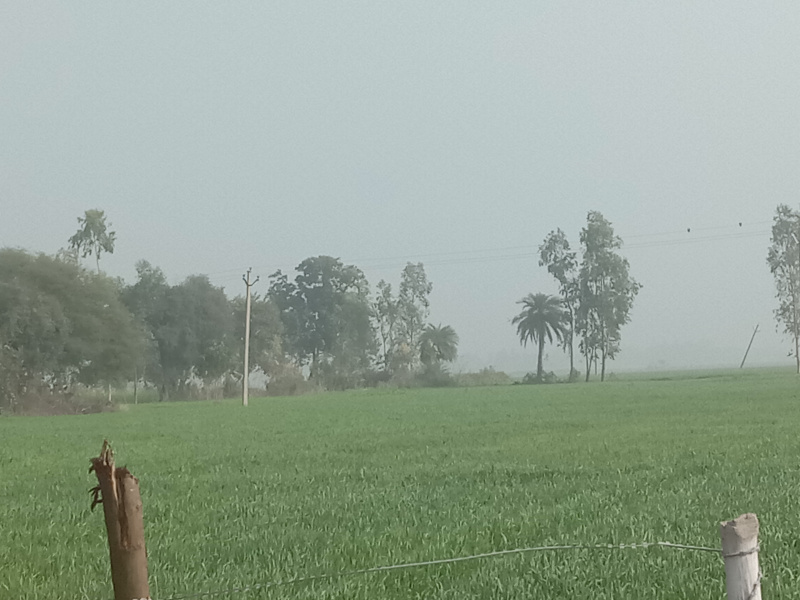  Agricultural Land 160 Bigha for Sale in Sandi, Hardoi