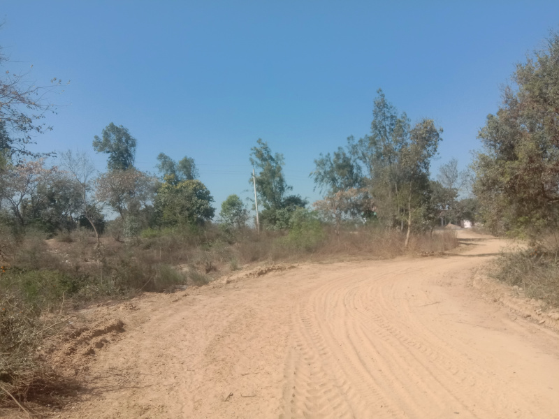 1 RK Farm House 50 Acre for Sale in Pihani, Hardoi