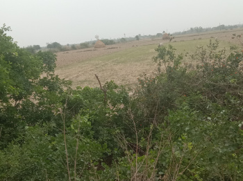  Industrial Land for Sale in Nagheta Road, Hardoi
