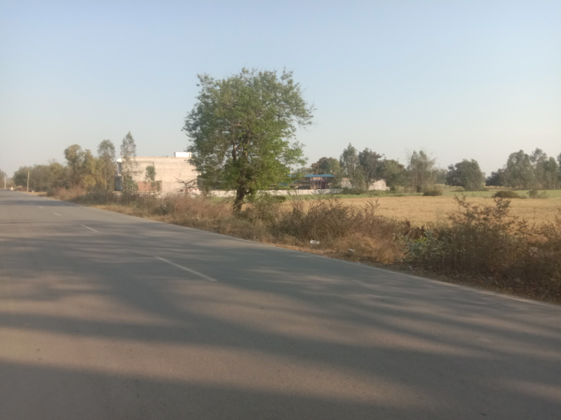  Commercial Land 21 Bigha for Sale in Sandi, Hardoi