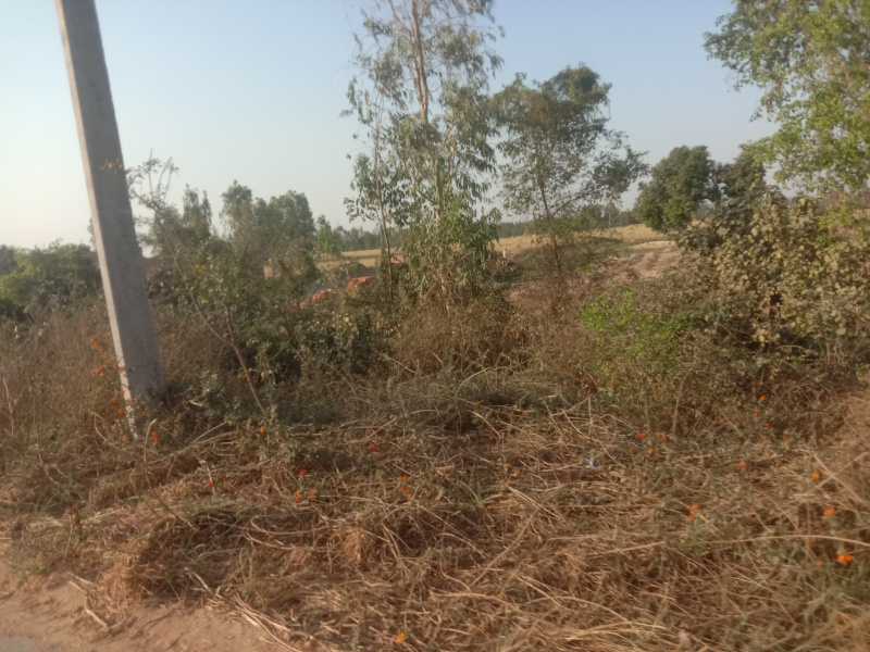  Commercial Land 21 Bigha for Sale in Sandi, Hardoi