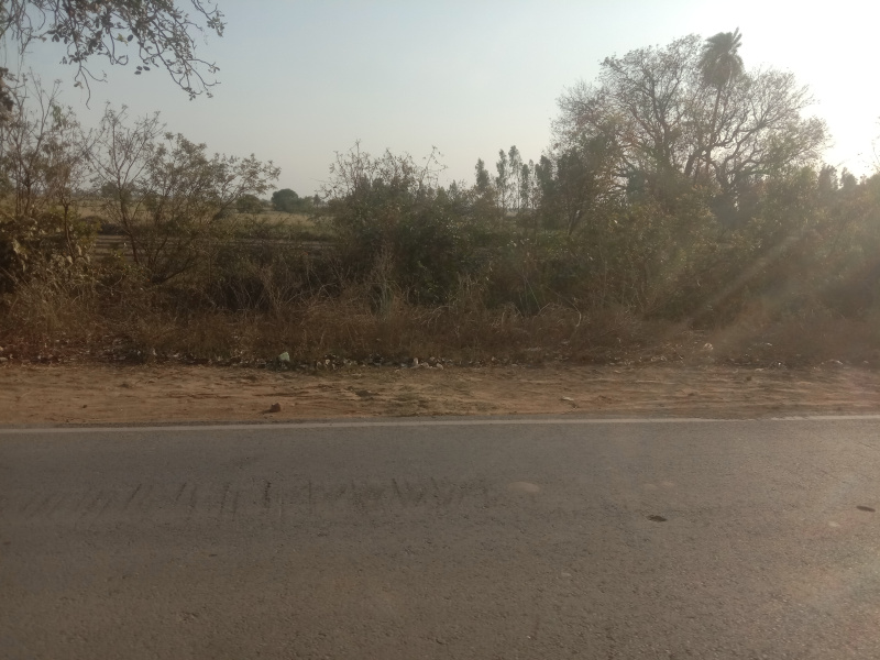  Commercial Land 21 Bigha for Sale in Sandi, Hardoi
