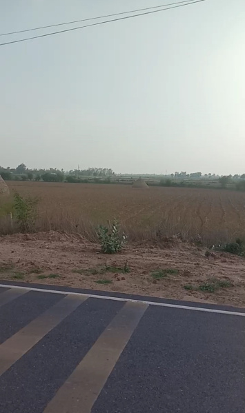  Agricultural Land 15 Bigha for Sale in Harpalpur, Hardoi