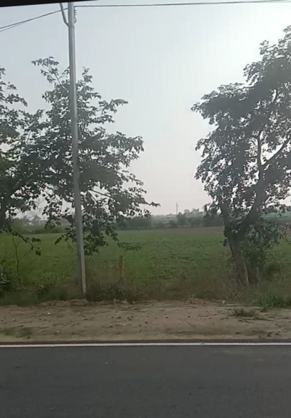  Agricultural Land 15 Bigha for Sale in Harpalpur, Hardoi