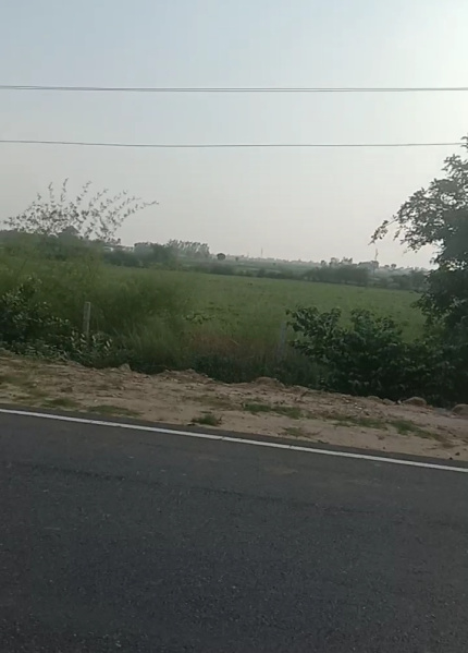  Agricultural Land 15 Bigha for Sale in Harpalpur, Hardoi