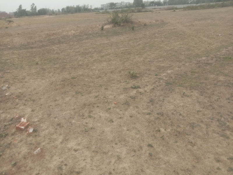  Residential Plot 30 Bigha for Sale in Faizabad Road, Lucknow