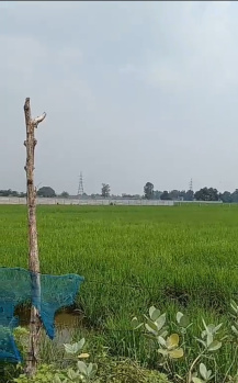  Agricultural Land for Sale in Agra Express Highway, Lucknow