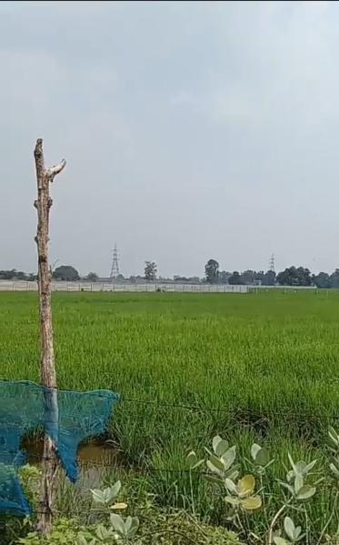  Agricultural Land 30 Bigha for Sale in Agra Express Highway, Lucknow