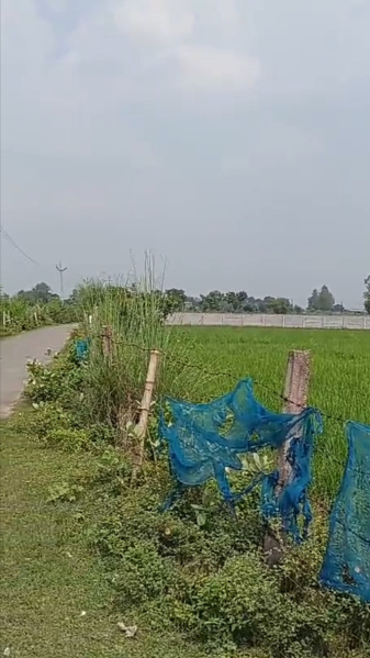  Agricultural Land 30 Bigha for Sale in Agra Express Highway, Lucknow