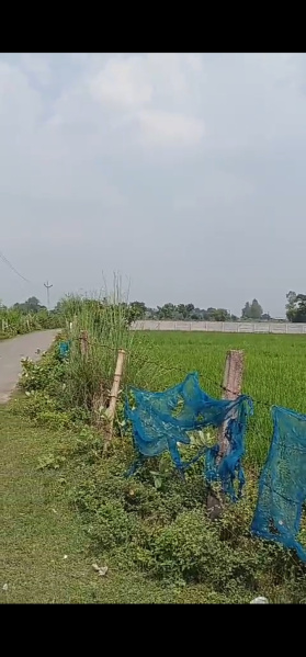  Agricultural Land 30 Bigha for Sale in Agra Express Highway, Lucknow