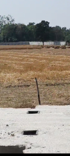  12 Bigha Agricultural/Farm Land for Sale in Pali, Hardoi