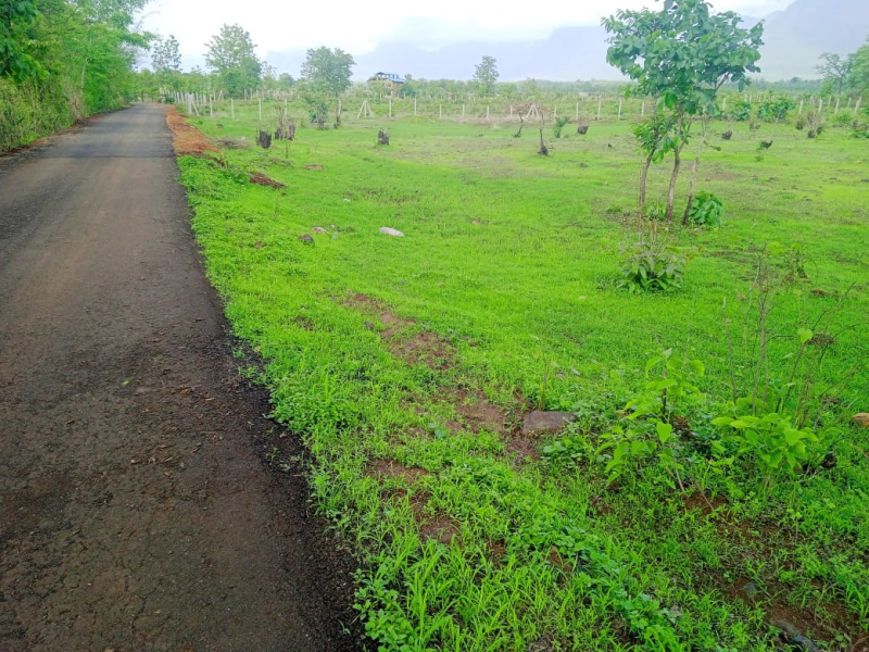 Agricultural Land 4 Acre for Sale in Mangaon, Raigad