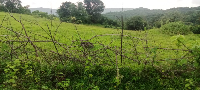  4 Ares Agricultural/Farm Land for Sale in Tala, Raigad
