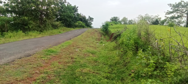  4 Ares Agricultural/Farm Land for Sale in Tala, Raigad
